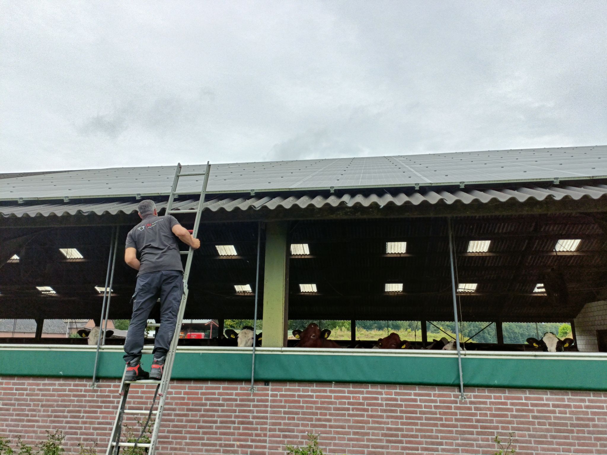 herstellingen van de constateringen met een herstelverklaring